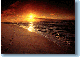 Sunset on lonely beach
